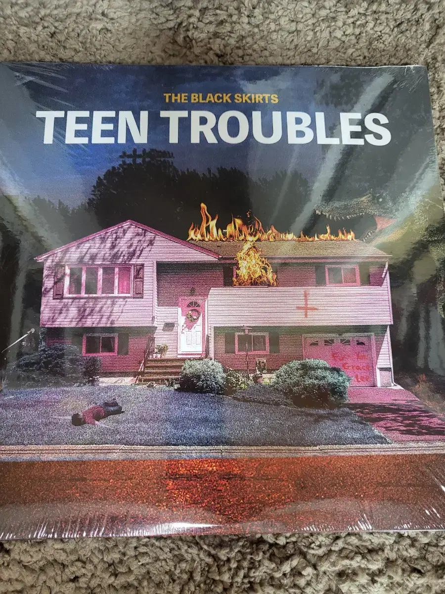 판매) 미개봉 검정치마 Teen Troubles lp 팝니다